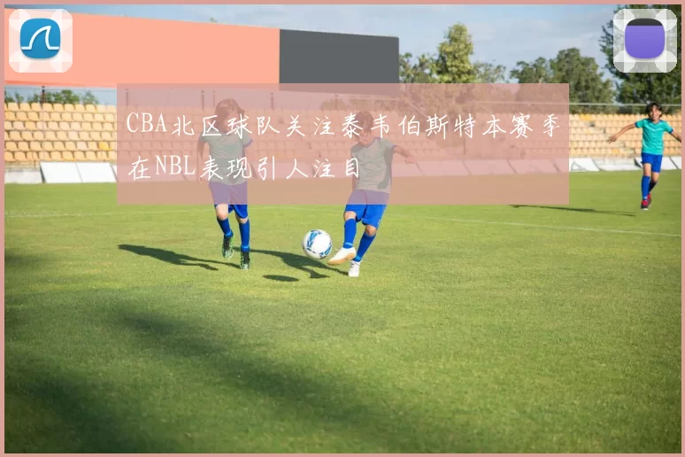 CBA北区球队关注泰韦伯斯特本赛季在NBL表现引人注目